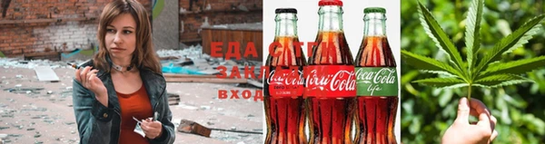 крисы Ельня