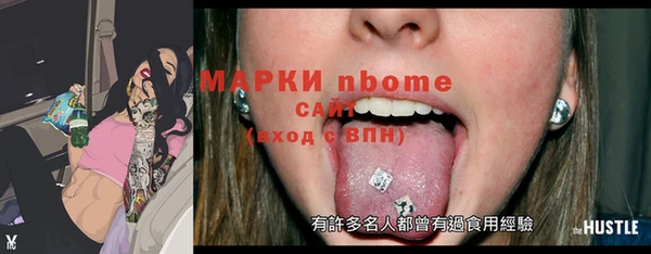 крисы Ельня