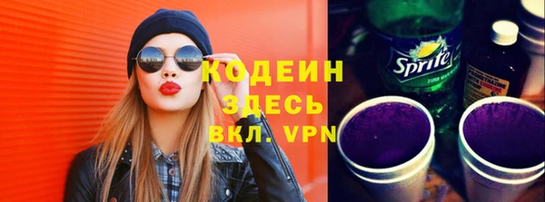 крисы Ельня