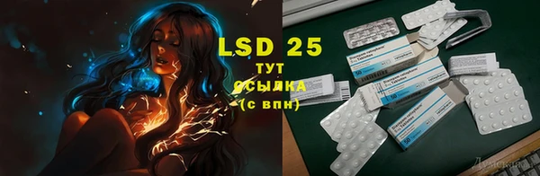 крисы Ельня