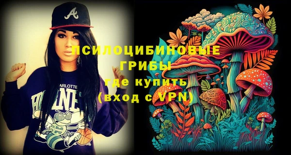 apvp Елизово
