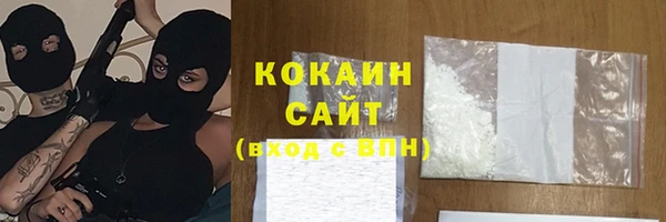 крисы Ельня