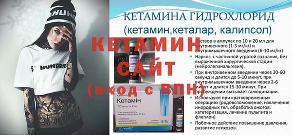 крисы Ельня