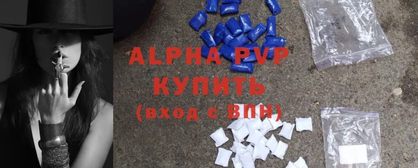 крисы Ельня