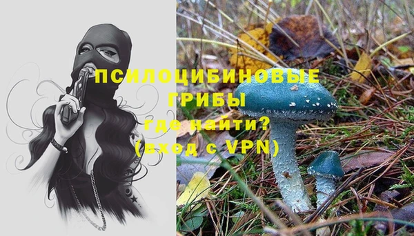 apvp Елизово