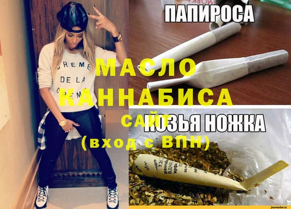 крисы Ельня