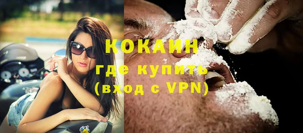 крисы Ельня