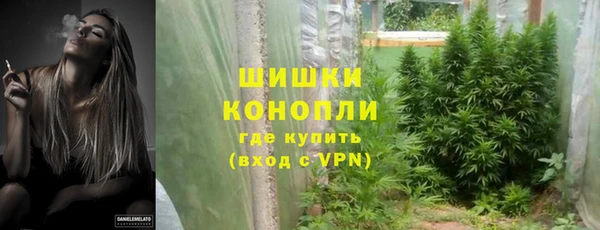 крисы Ельня