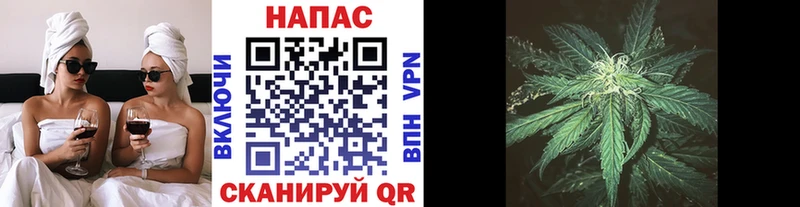 Каннабис Ganja  купить   Ачхой-Мартан 